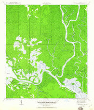 Jackson River Florida Historical topographic map, 1:24000 scale, 7.5 X 7.5 Minute, Year 1945