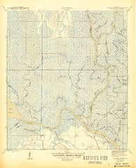 Jackson River Florida Historical topographic map, 1:31680 scale, 7.5 X 7.5 Minute, Year 1945