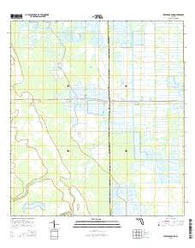 Jernigans Pond Florida Current topographic map, 1:24000 scale, 7.5 X 7.5 Minute, Year 2015