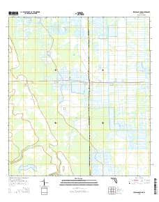 Jernigans Pond Florida Current topographic map, 1:24000 scale, 7.5 X 7.5 Minute, Year 2015
