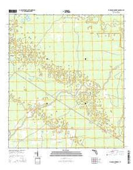 Johnson Hammock Florida Current topographic map, 1:24000 scale, 7.5 X 7.5 Minute, Year 2015