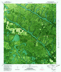 Juniper Creek Florida Historical topographic map, 1:24000 scale, 7.5 X 7.5 Minute, Year 1982