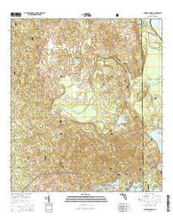 Juniper Springs Florida Current topographic map, 1:24000 scale, 7.5 X 7.5 Minute, Year 2015