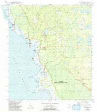 Keaton Beach Florida Historical topographic map, 1:24000 scale, 7.5 X 7.5 Minute, Year 1954