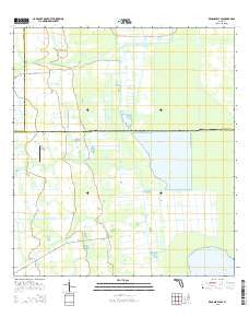 Kenansville SE Florida Current topographic map, 1:24000 scale, 7.5 X 7.5 Minute, Year 2015