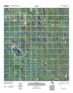 Kenansville SW Florida Historical topographic map, 1:24000 scale, 7.5 X 7.5 Minute, Year 2012