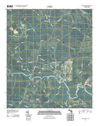 Kings Ferry Florida Historical topographic map, 1:24000 scale, 7.5 X 7.5 Minute, Year 2011