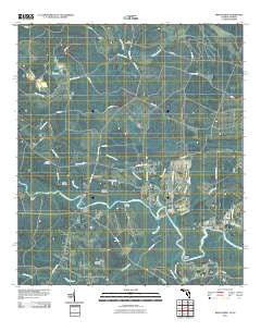Kings Ferry Florida Historical topographic map, 1:24000 scale, 7.5 X 7.5 Minute, Year 2011