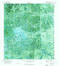 La Belle 4 SW Florida Historical topographic map, 1:24000 scale, 7.5 X 7.5 Minute, Year 1971