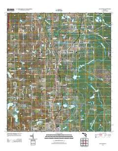 Lacoochee Florida Historical topographic map, 1:24000 scale, 7.5 X 7.5 Minute, Year 2012