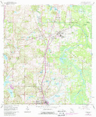 Lacoochee Florida Historical topographic map, 1:24000 scale, 7.5 X 7.5 Minute, Year 1960