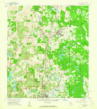 Lacoochee Florida Historical topographic map, 1:24000 scale, 7.5 X 7.5 Minute, Year 1960