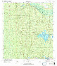 Lake Delancy Florida Historical topographic map, 1:24000 scale, 7.5 X 7.5 Minute, Year 1970