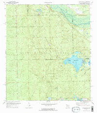 Lake Delancy Florida Historical topographic map, 1:24000 scale, 7.5 X 7.5 Minute, Year 1970