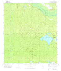 Lake Delancy Florida Historical topographic map, 1:24000 scale, 7.5 X 7.5 Minute, Year 1970