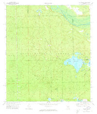 Lake Delancy Florida Historical topographic map, 1:24000 scale, 7.5 X 7.5 Minute, Year 1970