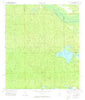 Lake Delancy Florida Historical topographic map, 1:24000 scale, 7.5 X 7.5 Minute, Year 1970