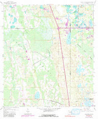 Lake Louisa SW Florida Historical topographic map, 1:24000 scale, 7.5 X 7.5 Minute, Year 1959