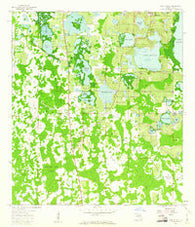 Lake Nellie Florida Historical topographic map, 1:24000 scale, 7.5 X 7.5 Minute, Year 1959