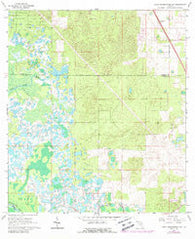 Lake Panasoffkee NW Florida Historical topographic map, 1:24000 scale, 7.5 X 7.5 Minute, Year 1966