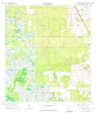 Lake Panasoffkee NW Florida Historical topographic map, 1:24000 scale, 7.5 X 7.5 Minute, Year 1966