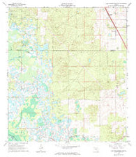 Lake Panasoffkee NW Florida Historical topographic map, 1:24000 scale, 7.5 X 7.5 Minute, Year 1966