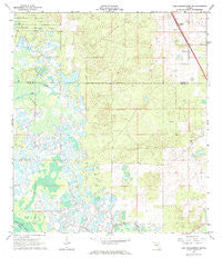 Lake Panasoffkee NW Florida Historical topographic map, 1:24000 scale, 7.5 X 7.5 Minute, Year 1966