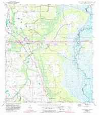 Lake Poinsett NW Florida Historical topographic map, 1:24000 scale, 7.5 X 7.5 Minute, Year 1953