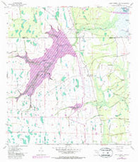 Lake Poinsett SW Florida Historical topographic map, 1:24000 scale, 7.5 X 7.5 Minute, Year 1953