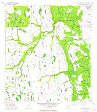 Lake Poinsett SW Florida Historical topographic map, 1:24000 scale, 7.5 X 7.5 Minute, Year 1953