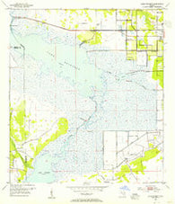 Lake Poinsett Florida Historical topographic map, 1:24000 scale, 7.5 X 7.5 Minute, Year 1953