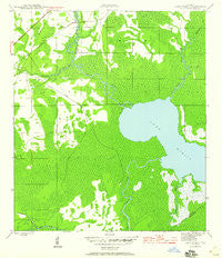 Lake Wimico Florida Historical topographic map, 1:24000 scale, 7.5 X 7.5 Minute, Year 1945