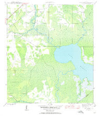 Lake Wimico Florida Historical topographic map, 1:24000 scale, 7.5 X 7.5 Minute, Year 1945