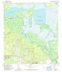 Lake Woodruff Florida Historical topographic map, 1:24000 scale, 7.5 X 7.5 Minute, Year 1962