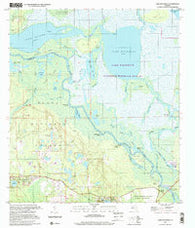 Lake Woodruff Florida Historical topographic map, 1:24000 scale, 7.5 X 7.5 Minute, Year 1999