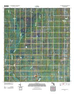 Lake Arbuckle SE Florida Historical topographic map, 1:24000 scale, 7.5 X 7.5 Minute, Year 2012