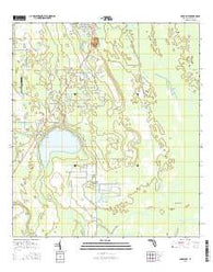 Lake Ashby Florida Current topographic map, 1:24000 scale, 7.5 X 7.5 Minute, Year 2015