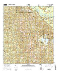 Lake Delancy Florida Current topographic map, 1:24000 scale, 7.5 X 7.5 Minute, Year 2015