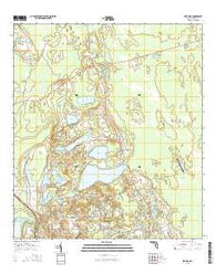 Lake Dias Florida Current topographic map, 1:24000 scale, 7.5 X 7.5 Minute, Year 2015