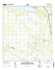 Lake Marian SE Florida Current topographic map, 1:24000 scale, 7.5 X 7.5 Minute, Year 2015