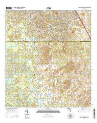 Lake Panasoffkee NW Florida Current topographic map, 1:24000 scale, 7.5 X 7.5 Minute, Year 2015
