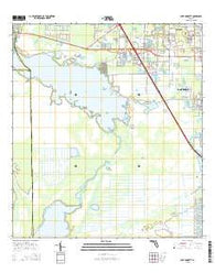 Lake Poinsett Florida Current topographic map, 1:24000 scale, 7.5 X 7.5 Minute, Year 2015
