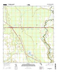 Lake Poinsett NW Florida Current topographic map, 1:24000 scale, 7.5 X 7.5 Minute, Year 2015