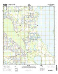 Lake Tohopekaliga Florida Current topographic map, 1:24000 scale, 7.5 X 7.5 Minute, Year 2015
