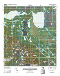 Lake Woodruff Florida Historical topographic map, 1:24000 scale, 7.5 X 7.5 Minute, Year 2012