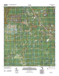 Lamont SE Florida Historical topographic map, 1:24000 scale, 7.5 X 7.5 Minute, Year 2012