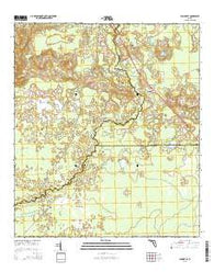 Lamont SE Florida Current topographic map, 1:24000 scale, 7.5 X 7.5 Minute, Year 2015