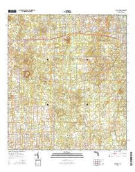 Lecanto Florida Current topographic map, 1:24000 scale, 7.5 X 7.5 Minute, Year 2015
