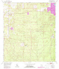 Lecanto Florida Historical topographic map, 1:24000 scale, 7.5 X 7.5 Minute, Year 1954