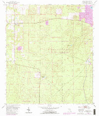 Lecanto Florida Historical topographic map, 1:24000 scale, 7.5 X 7.5 Minute, Year 1954